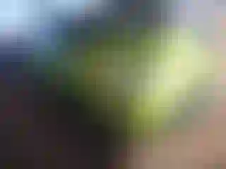 Vehicle Image- 2011 Ford Fiesta