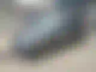 Vehicle Image- 2016 Ford Fiesta