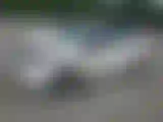 Vehicle Image- 2017 Ford Fiesta