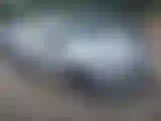 Vehicle Image- 2014 Ford Fiesta