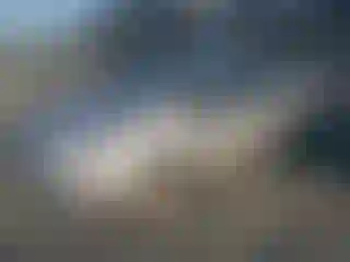 Vehicle Image- 2016 Ford Fiesta