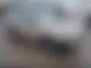 Vehicle Image- 2006 Ford Fusion