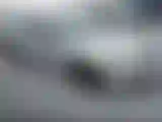 Vehicle Image- 2006 Ford Fusion