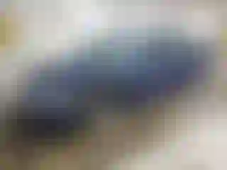 Vehicle Image- 2006 Ford Fusion