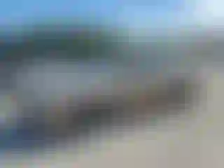 Vehicle Image- 2006 Ford Fusion