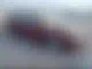 Vehicle Image- 2006 Ford Fusion