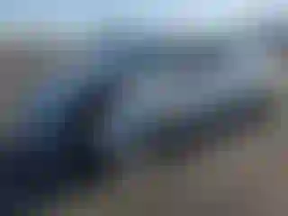 Vehicle Image- 2003 Ford Focus