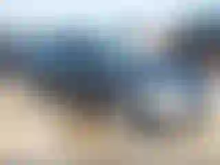 Vehicle Image- 2004 Ford Focus