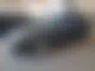 Vehicle Image- 2003 Ford Focus