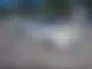 Vehicle Image- 2003 Ford Focus