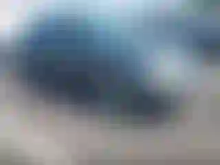 Vehicle Image- 2003 Ford Focus