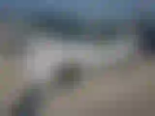 Vehicle Image- 2000 Ford Focus