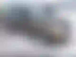 Vehicle Image- 2000 Ford Focus