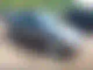 Vehicle Image- 2004 Ford Focus