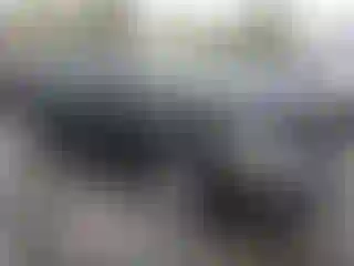 Vehicle Image- 2005 Ford Focus