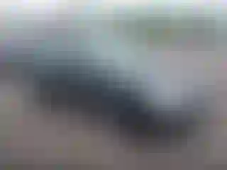 Vehicle Image- 2005 Ford Focus