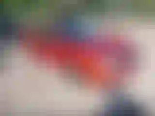 Vehicle Image- 2005 Ford Focus