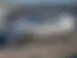 Vehicle Image- 2005 Ford Focus