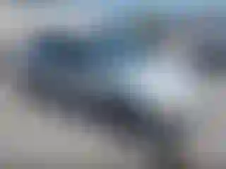 Vehicle Image- 2003 Ford Focus
