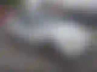 Vehicle Image- 2003 Ford Focus