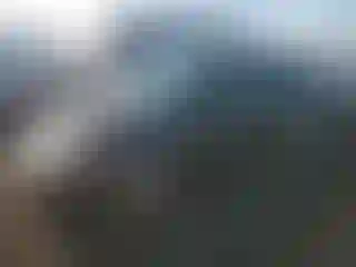 Vehicle Image- 2004 Ford Focus