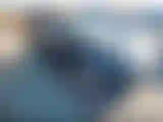 Vehicle Image- 2004 Ford Focus