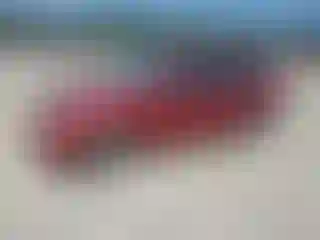 Vehicle Image- 2003 Ford Focus