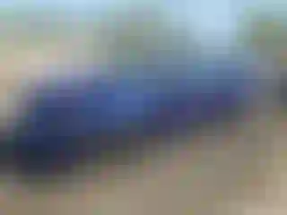 Vehicle Image- 2005 Ford Focus