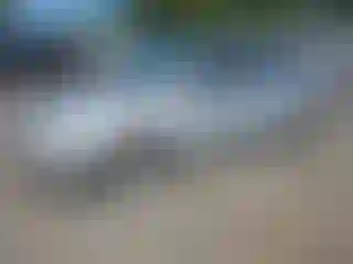 Vehicle Image- 2005 Ford Focus