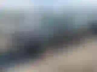 Vehicle Image- 2005 Ford Focus