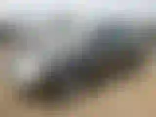 Vehicle Image- 2005 Ford Focus
