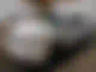 Vehicle Image- 2009 Ford Fusion