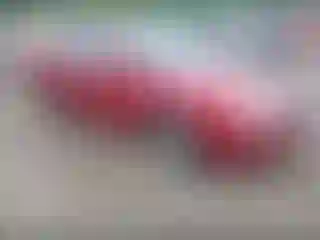 Vehicle Image- 2008 Ford Fusion
