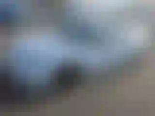 Vehicle Image- 2007 Ford Fusion