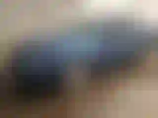 Vehicle Image- 2009 Ford Fusion
