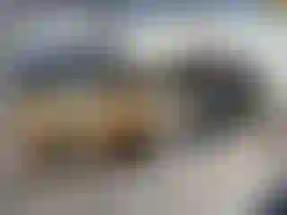 Vehicle Image- 2008 Ford Fusion