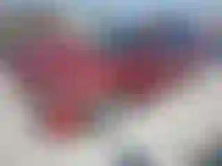 Vehicle Image- 2008 Ford Fusion