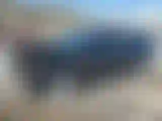 Vehicle Image- 2006 Ford Fusion
