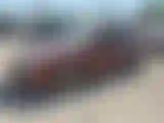 Vehicle Image- 2006 Ford Fusion
