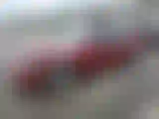Vehicle Image- 2008 Ford Fusion