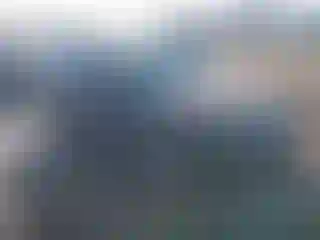 Vehicle Image- 2008 Ford Fusion