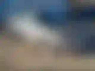 Vehicle Image- 2007 Ford Fusion