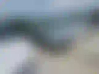 Vehicle Image- 2008 Ford Fusion