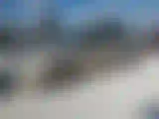 Vehicle Image- 2008 Ford Fusion