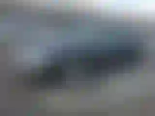 Vehicle Image- 2009 Ford Fusion