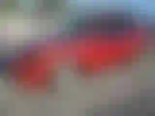 Vehicle Image- 2008 Ford Fusion