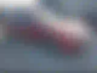 Vehicle Image- 2009 Ford Fusion