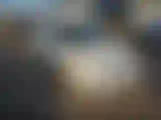 Vehicle Image- 2008 Ford Fusion