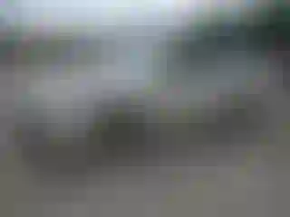 Vehicle Image- 2009 Ford Fusion