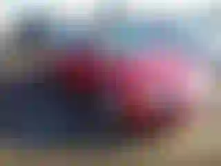 Vehicle Image- 2007 Ford Fusion